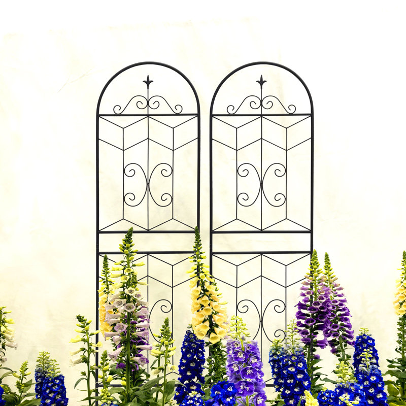 2 Pack Metal Garden Trellis, 71" H x 19.7" W x 0.51" D