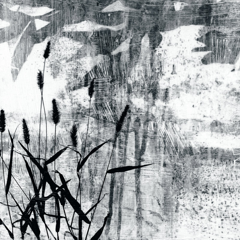 Exposure II by Jennifer Goldberger - Wrapped Canvas Painting, 30cm H x 30cm W x 3.8cm D