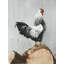 Wyandotte Rooster - Kitchen Farmhouse-121073113