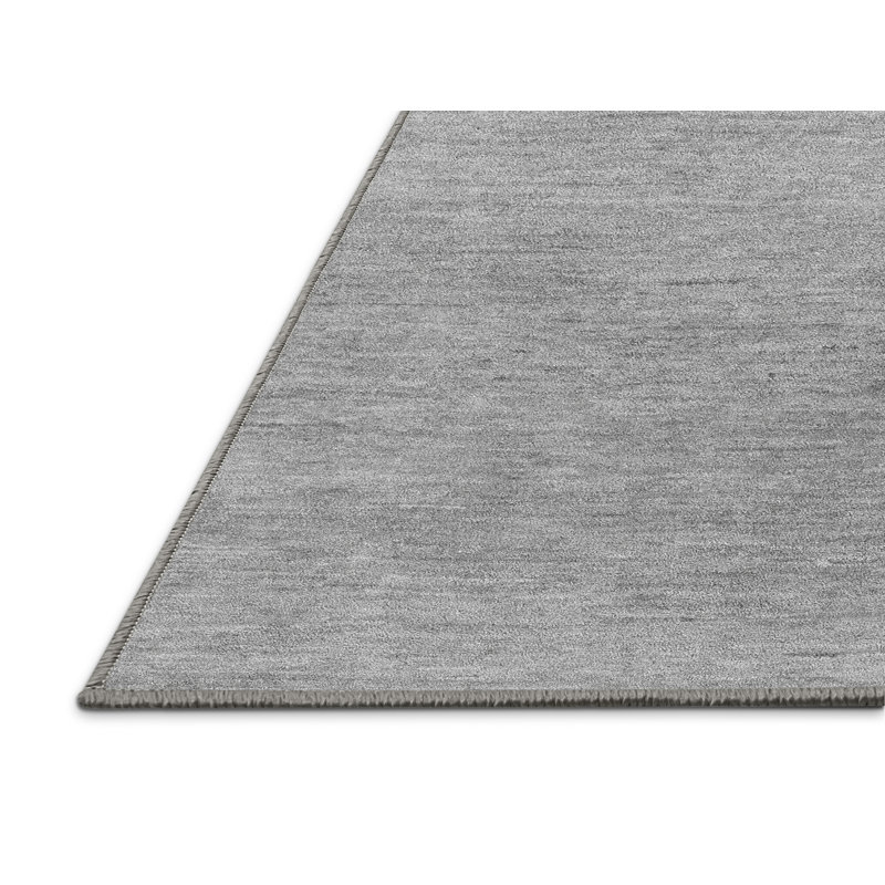 Tapis gris tissé à la machine Bernabe, Rectangle 6 pi x 9 pi