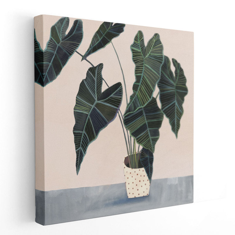 Houseplant II - reproduction d'art sur toile, H 16 po x l 16 po