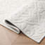 Feya Machine Woven Synthetic Aera Rug in White-1587238538