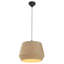 Dicte 1 - Light Shaded Pendant-62173649