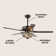 Chicago 48'' Ceiling Fan with Light Kit