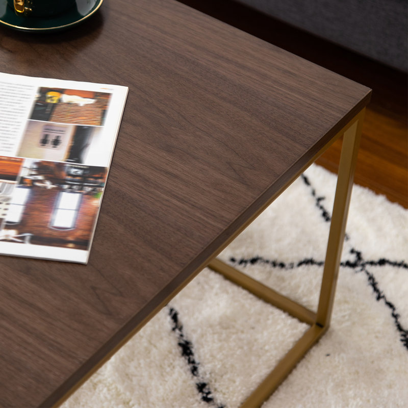 Azriel Frame Coffee Table