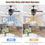 Ventilateur de plafond standard à 5 pales de 50 po avec chaîne de traction et ensemble d'éclairage inclus Edenfield