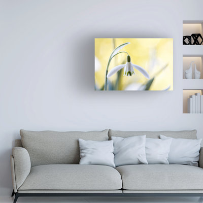 Mandy Disher Snowdrops Canvas Art