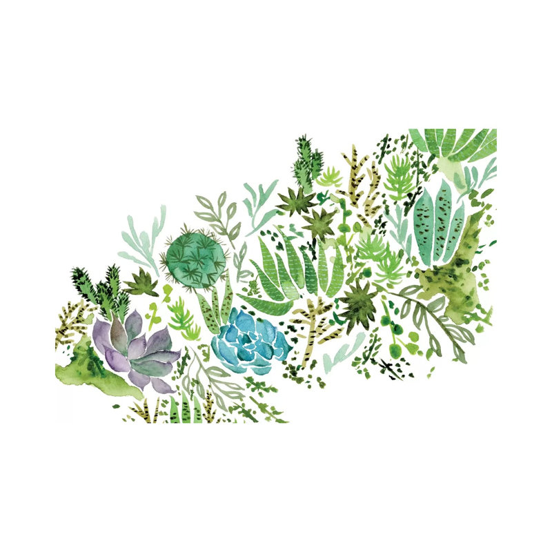 Succulent Field I by Melissa Wang - Wrapped Canvas Painting, 30.48 cm H x 45.72 cm W