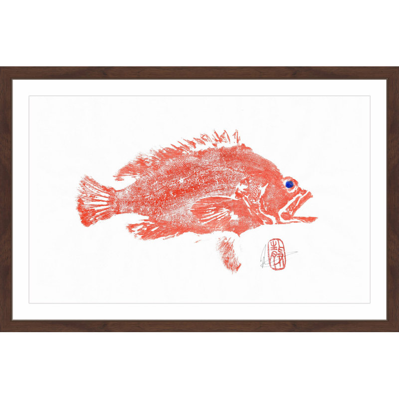 « tacheté grouper », reproduction d’art encadrée, H 12 po x l 18 po x P 1,5 po