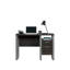 Bureau idéal pour le bureau ou le bureau dans la chambre ou le salon