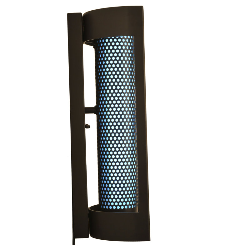 Snowbird Shell 1 - Light LED Flush Mounted Sconce
