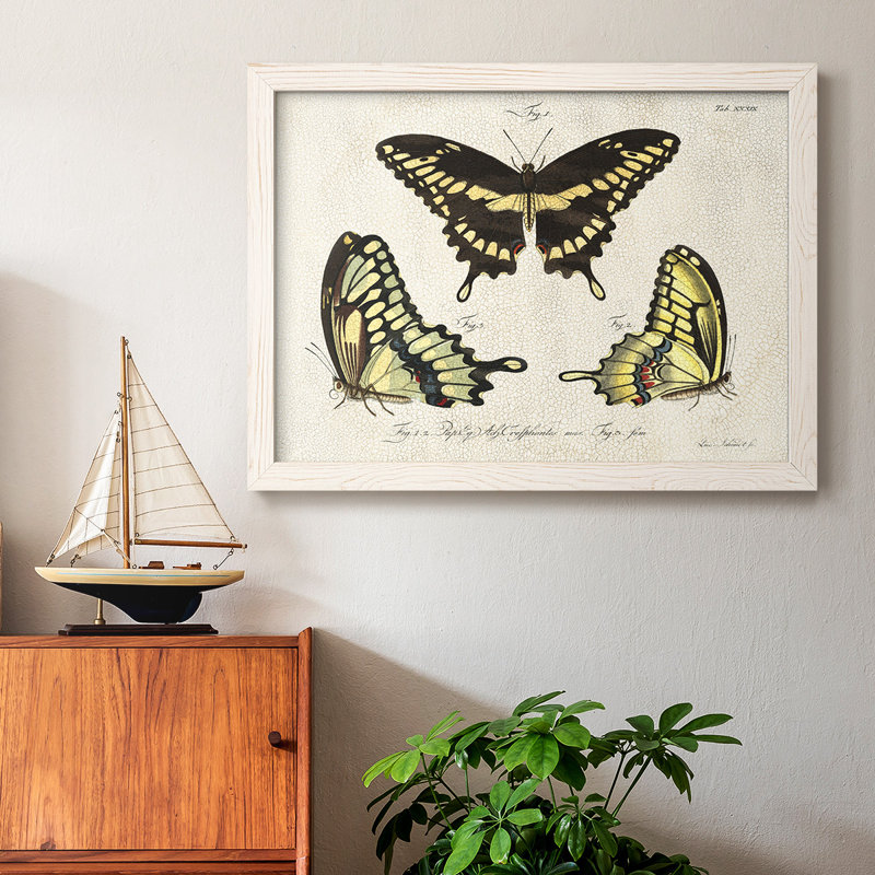 «Crackled Butterflies I», reproduction d'art sur toile, H 22 po x l 32 po x P 1,5 po, Blanc