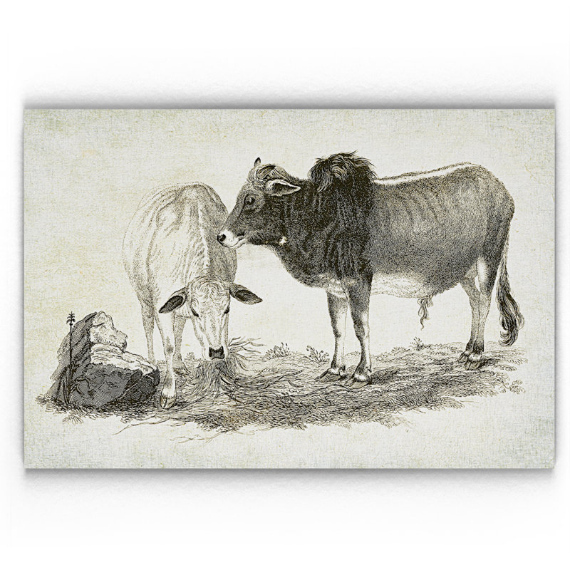 « betail sketch vi », impression, H 18 po x l 27 po x P 1,5 po, Pas de tapis, Toile tendue
