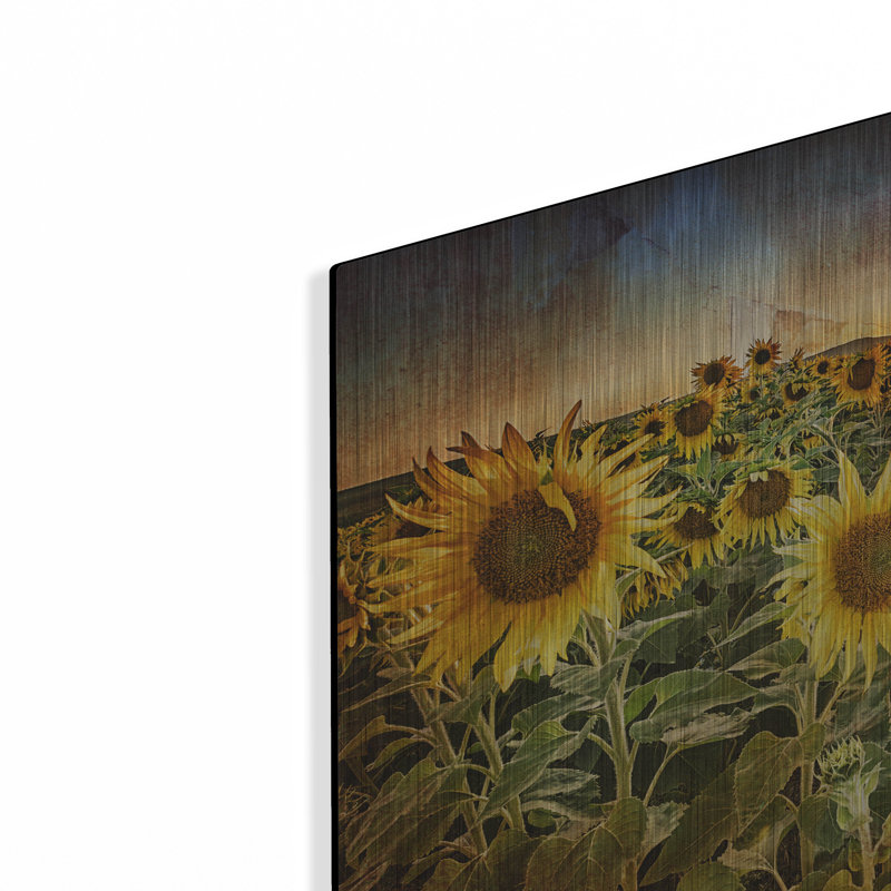 «Aroostook Sunsetre» par Rick Berk, H 16 po x l 24 po
