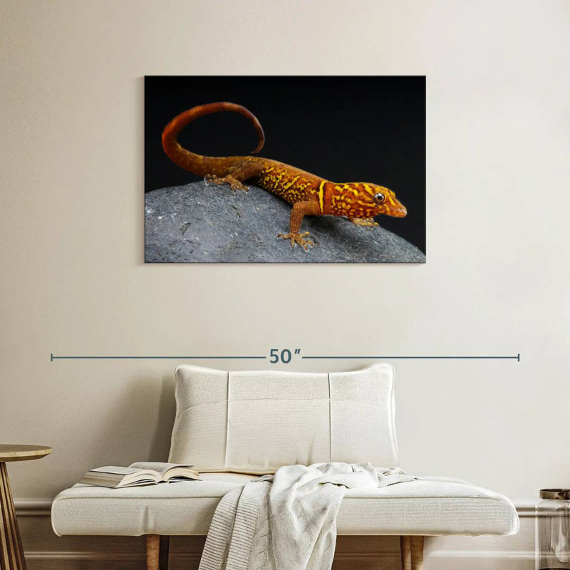 Brampt Gecko, 24" H x 36" W