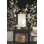 Murale paon blanc-86797586