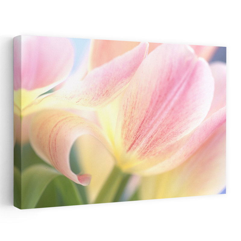 «Whispers Delicate Contemporary Nature Spring Art», H 16 po x l 24 po