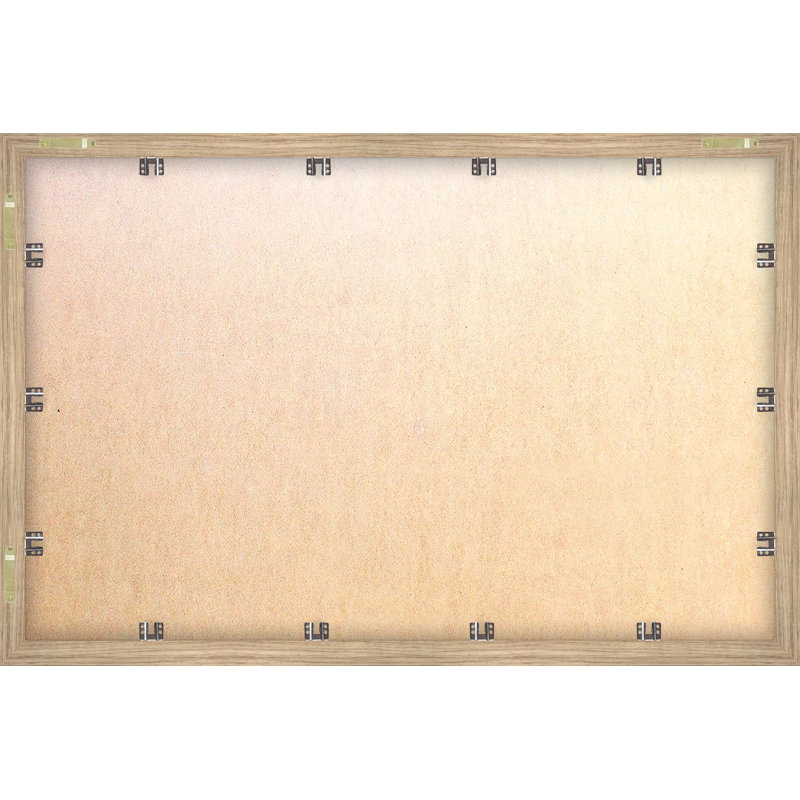 Bourgery Triple-Horned Dinosaur Framed Print, 8" H x 12" W x 1.5" D