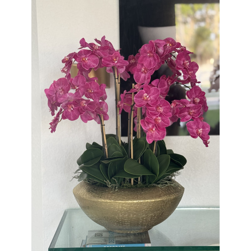Bol Blaze avec orchidées phalaenopsis, Rose