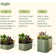 11" Tall 9 In 1 Modular Metal Outdoor Raised Garden Bed