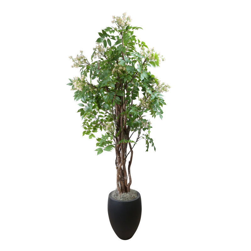 Bloom Lacquer Tree in Fiberstone Pot