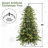 7.5FT  Christmas Tree with Lights-889110512