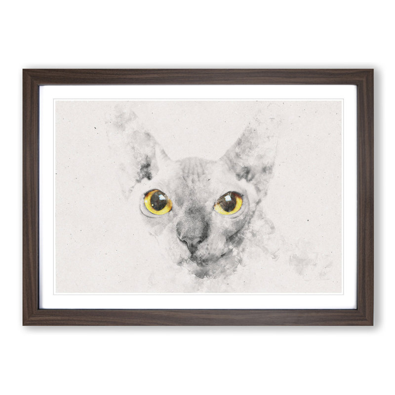 Sphynx Cat with Amber Eyes - Picture Frame Graphic Art Print, Walnut Framed, 62cm H x 87cm W x 2cm D