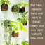 Wood Wall Planter