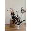 Siobhan Vase