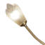 Cottone 170cm Novelty Floor Lamp-33485435