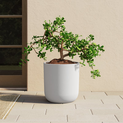 Pure Series Planter