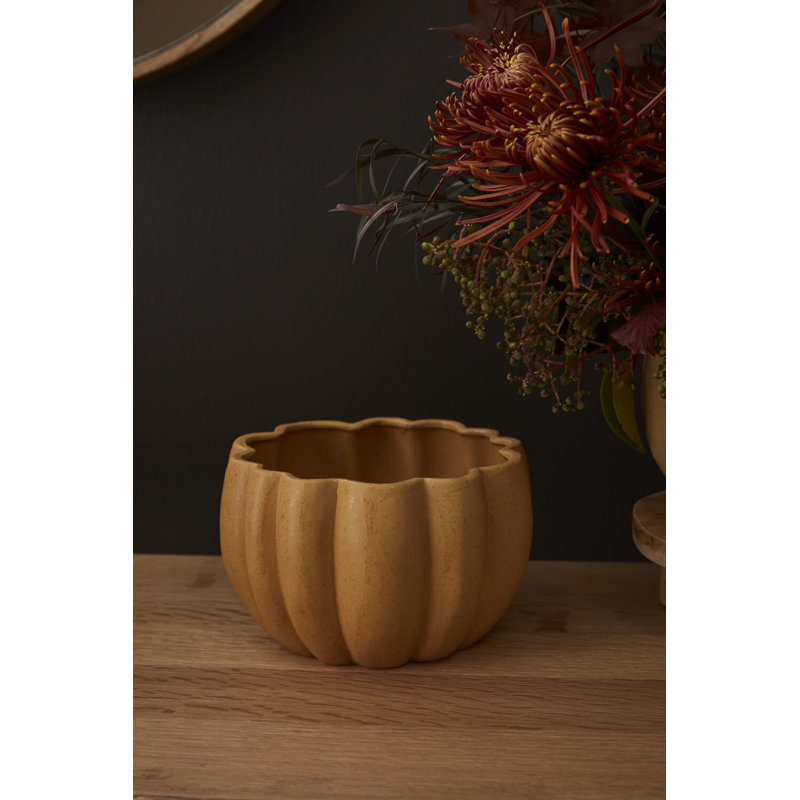 Ceramic Pot Planter