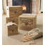 Fatwood Fire Starter-587942841