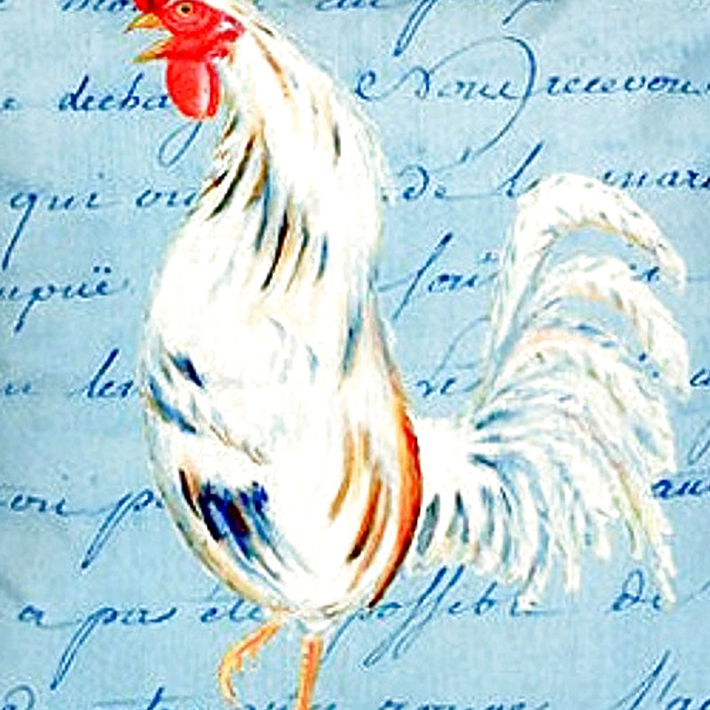 Housse et insert de coussin carré Rooster Rooster Script, Grand