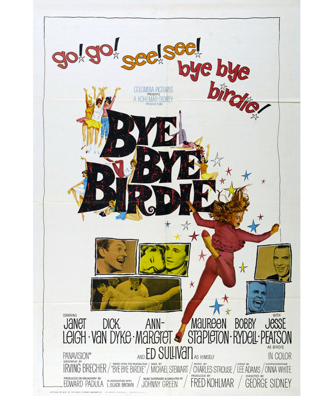 Bye Bye Birdie, 24" H x 16" W