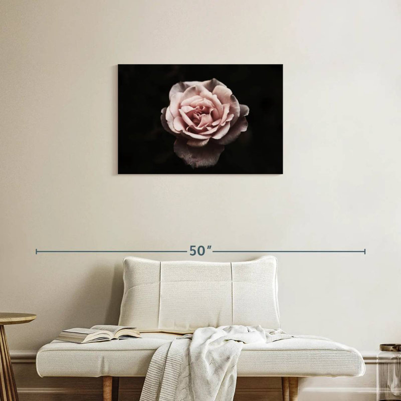 Rose œillet Harnek, H 20 po x l 30 po