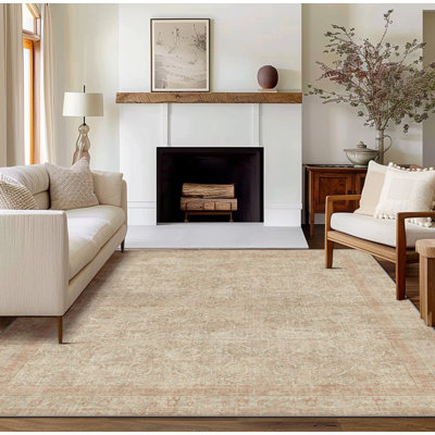 Tapis intérieur lavable 8 x 10 po Boho