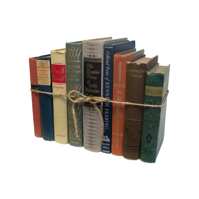 Entertainment Decorative Book