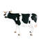 Statue de vache Holstein de grande échelle
