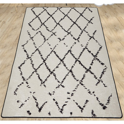 Soft & Stylish Area Carpet, 31.5 x 55.1 Inches | 100% Polyester, 0.2 in Pile Height | Antibacterial, Non-Slip Underside, Machine Washable | Perfect for Living Room, Bedroom, & Kids' Play Areas, Durable & Easy Care