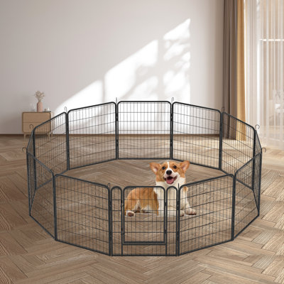 Panel Iron Exercise Pen With Door