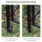 50.5'' W x 19'' D Metal Arbor with Gate in Black