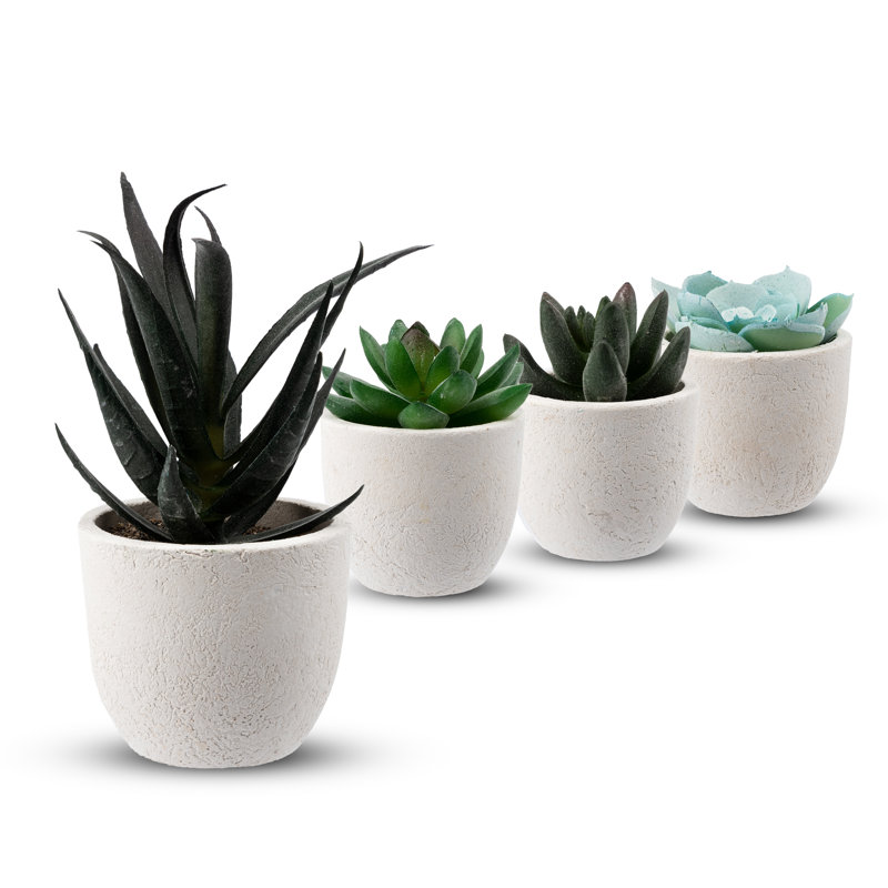 14 cm H Faux Bonsai Succulent Plant, Highgloss sand grey