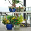 Pot de fleurs
