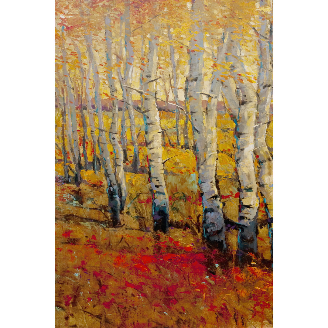 Leinwandbild Vivid Birch Forest I von Tim OToole