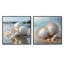 Photographie de coquillage blanc minimaliste - ensemble de 2 animaux carrés-1402531045-1402531044