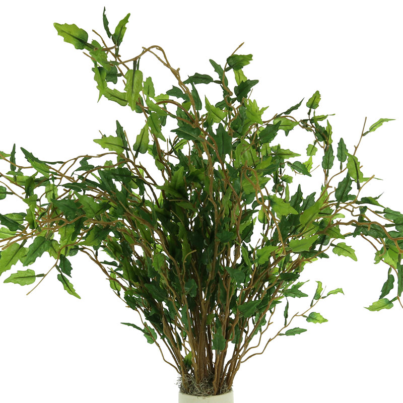 Maitland biologique moderne Smilax Arrangement