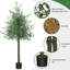 Olive artificielle en pot-1279566333-1279566332
