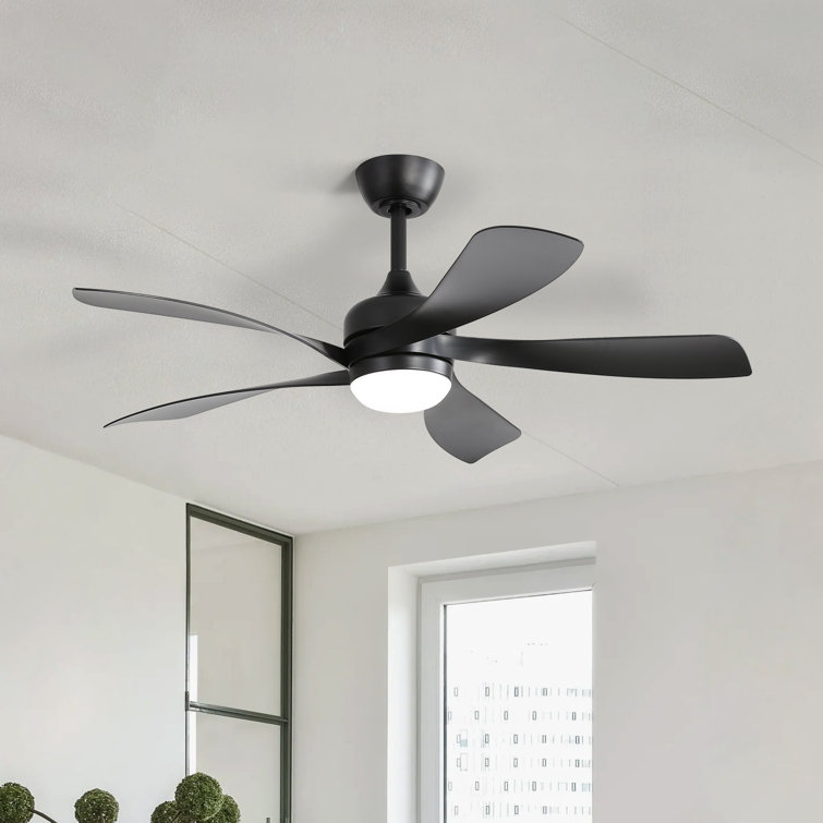 Damecia 52'' Modern Ceiling Fan with LED Light and Remote Control