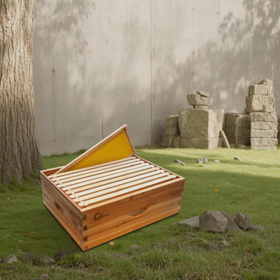Cadre 10 super moyen avec boîte à abeilles, ruches enduites de cire avec fenêtres en acrylique transparent, cadres de ruches et fondations en cire, complément de miel pour l'apiculture Langstroth